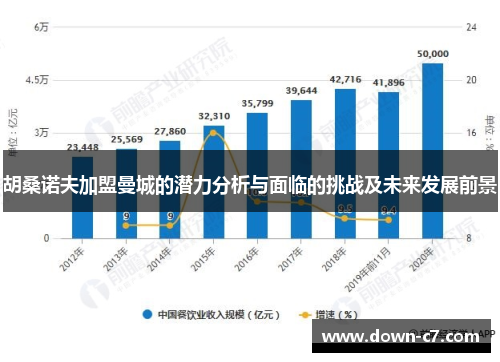 胡桑诺夫加盟曼城的潜力分析与面临的挑战及未来发展前景