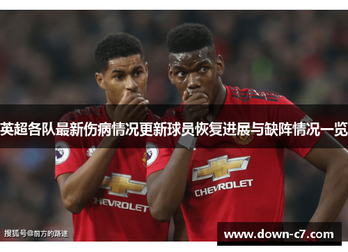 英超各队最新伤病情况更新球员恢复进展与缺阵情况一览
