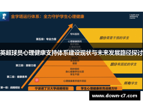 英超球员心理健康支持体系建设现状与未来发展路径探讨
