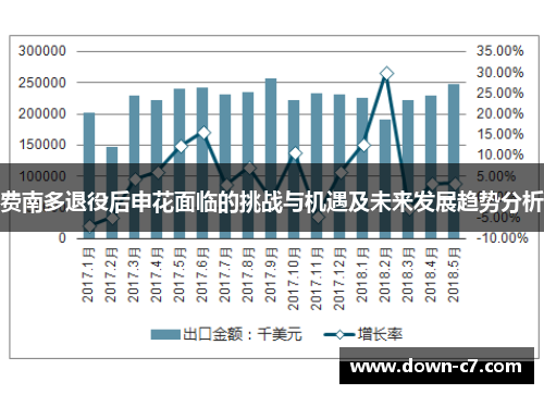 费南多退役后申花面临的挑战与机遇及未来发展趋势分析