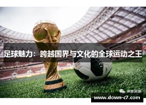 足球魅力:跨越国界与文化的全球运动之王 足球魅力:跨越国界与文化的全球运动之王