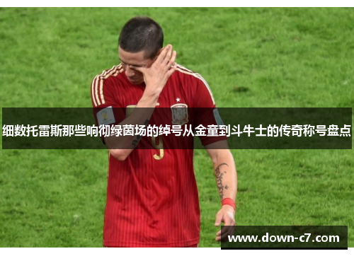 细数托雷斯那些响彻绿茵场的绰号从金童到斗牛士的传奇称号盘点