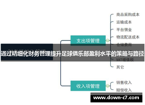 通过精细化财务管理提升足球俱乐部盈利水平的策略与路径