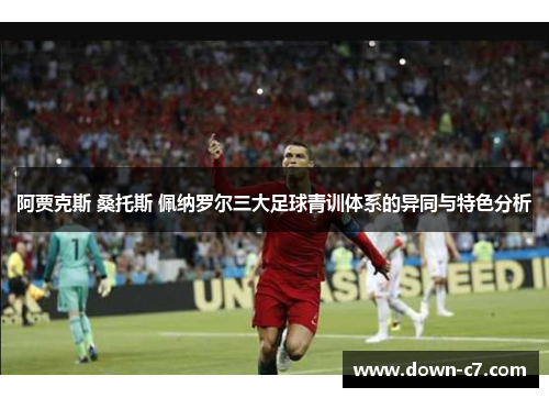 阿贾克斯 桑托斯 佩纳罗尔三大足球青训体系的异同与特色分析 阿贾克斯 桑托斯 佩纳罗尔三大足球青训体系的异同与特色分析
