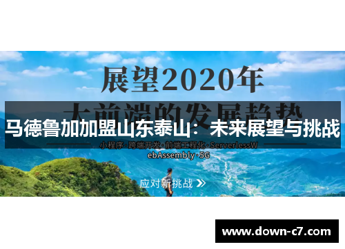马德鲁加加盟山东泰山：未来展望与挑战