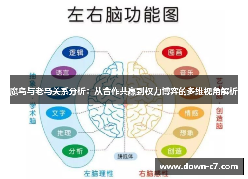 魔鸟与老马关系分析：从合作共赢到权力博弈的多维视角解析