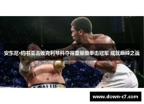 安东尼·约书亚击败克利琴科夺得重量级拳击冠军 成就巅峰之战