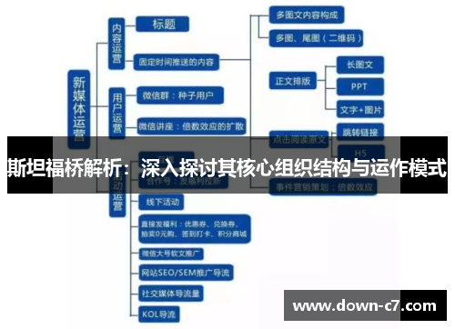 斯坦福桥解析：深入探讨其核心组织结构与运作模式