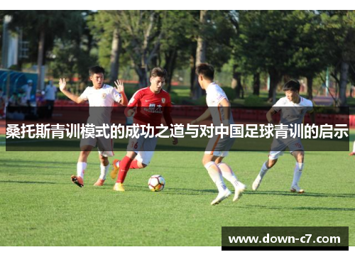 桑托斯青训模式的成功之道与对中国足球青训的启示 桑托斯青训模式的成功之道与对中国足球青训的启示