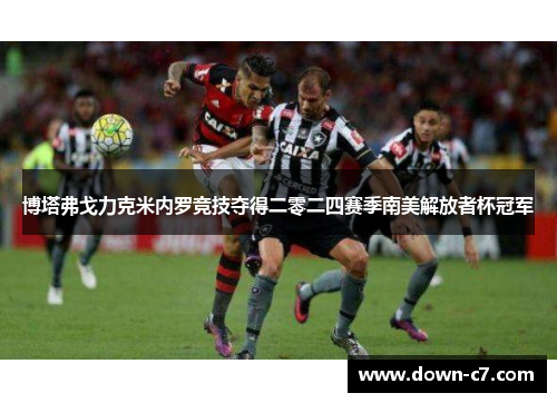 博塔弗戈力克米内罗竞技夺得二零二四赛季南美解放者杯冠军 博塔弗戈力克米内罗竞技夺得二零二四赛季南美解放者杯冠军