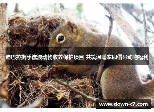 迪巴拉携手流浪动物收养保护项目 共筑温暖家园倡导动物福利