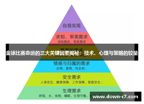 金徐比赛命运的三大关键因素揭秘：技术、心理与策略的较量