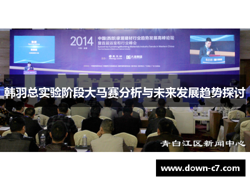 韩羽总实验阶段大马赛分析与未来发展趋势探讨