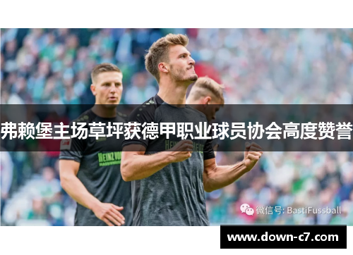 弗赖堡主场草坪获德甲职业球员协会高度赞誉