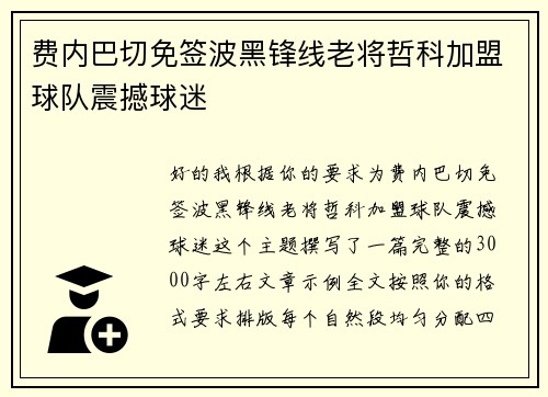 费内巴切免签波黑锋线老将哲科加盟球队震撼球迷