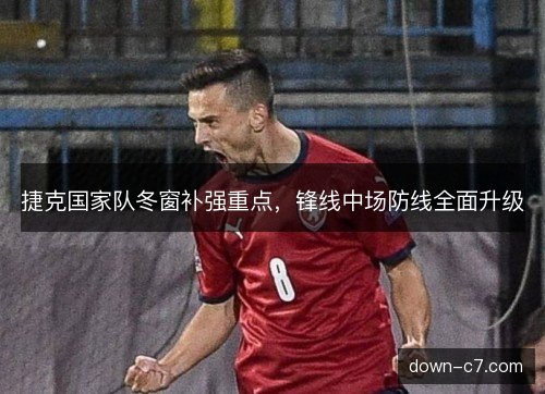 捷克国家队冬窗补强重点，锋线中场防线全面升级